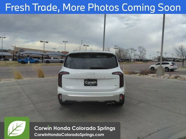Used 2024 Kia Telluride SX Prestige w/ Towing Package image 6