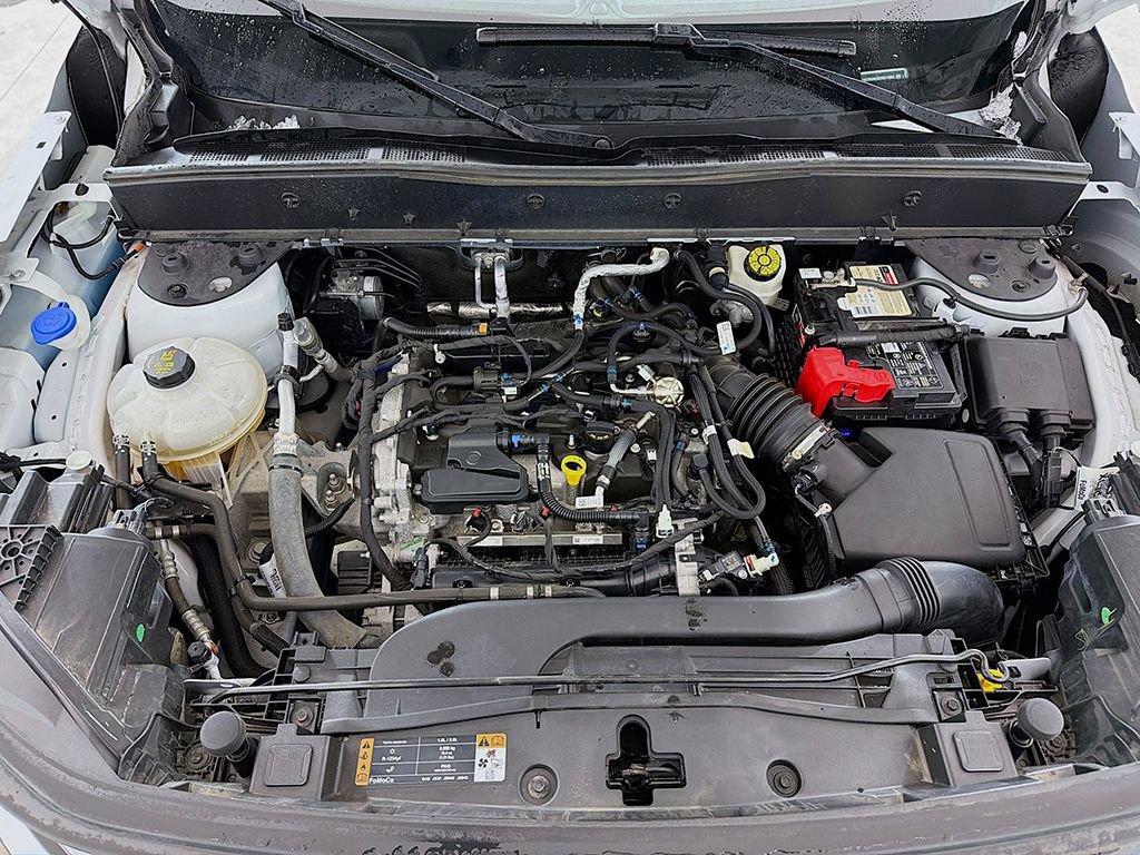 Used 2021 Ford Bronco Sport image 14