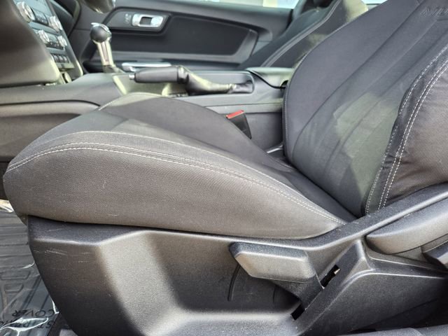 Used 2019 Ford Mustang EcoBoost image 13