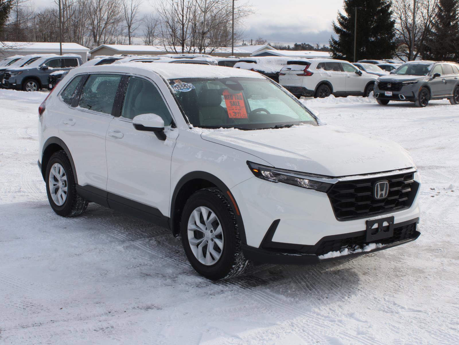 Used 2024 Honda CR-V LX image 3