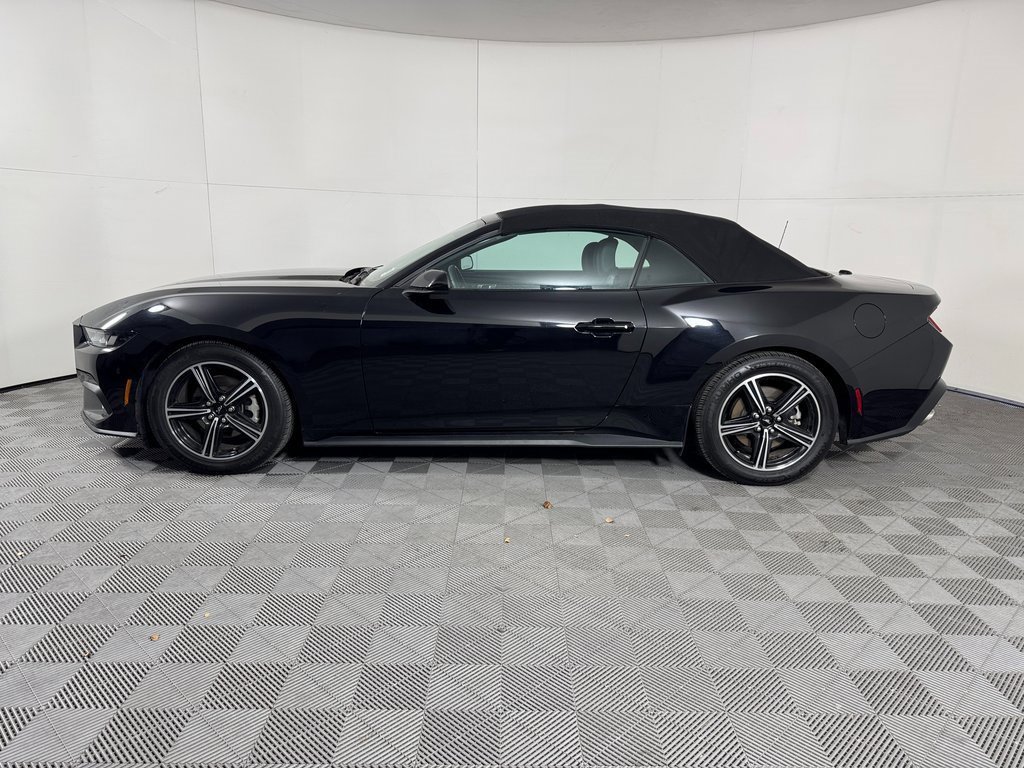 Used 2024 Ford Mustang Convertible image 4