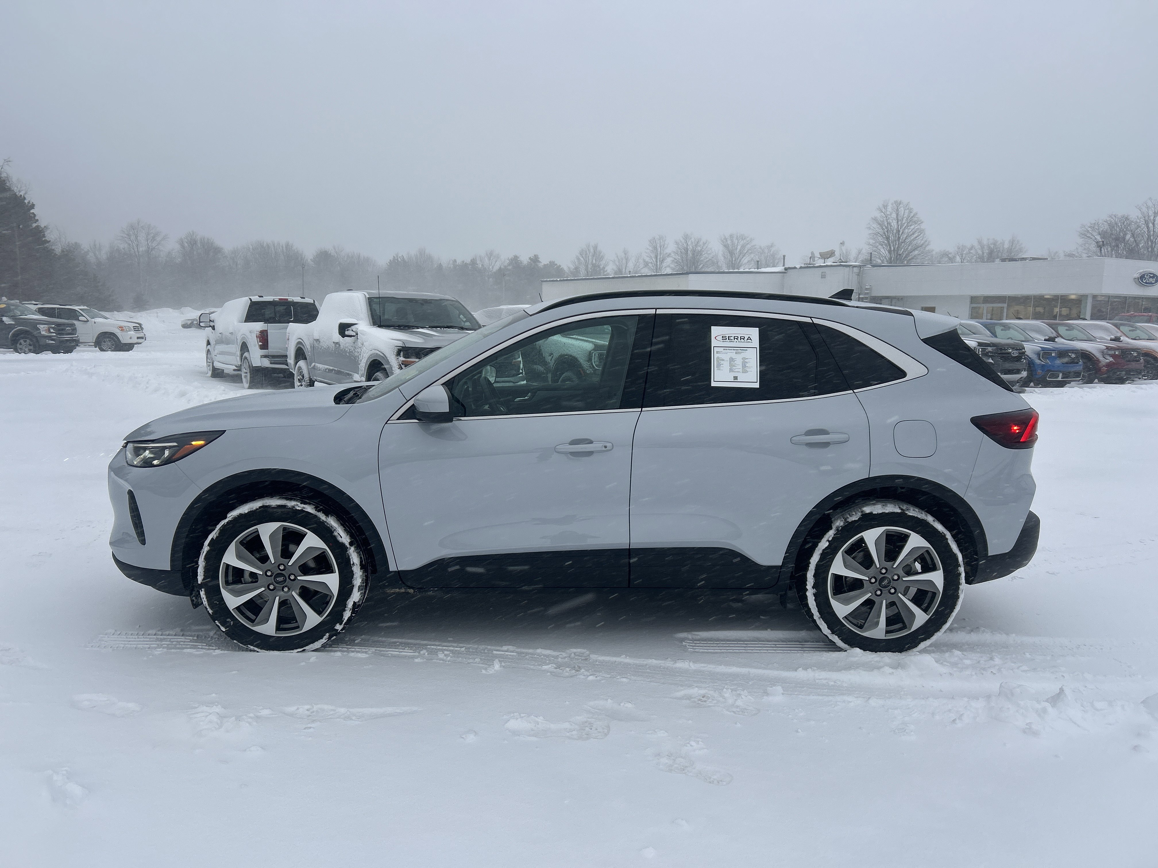 Used 2025 Ford Escape Platinum image 6