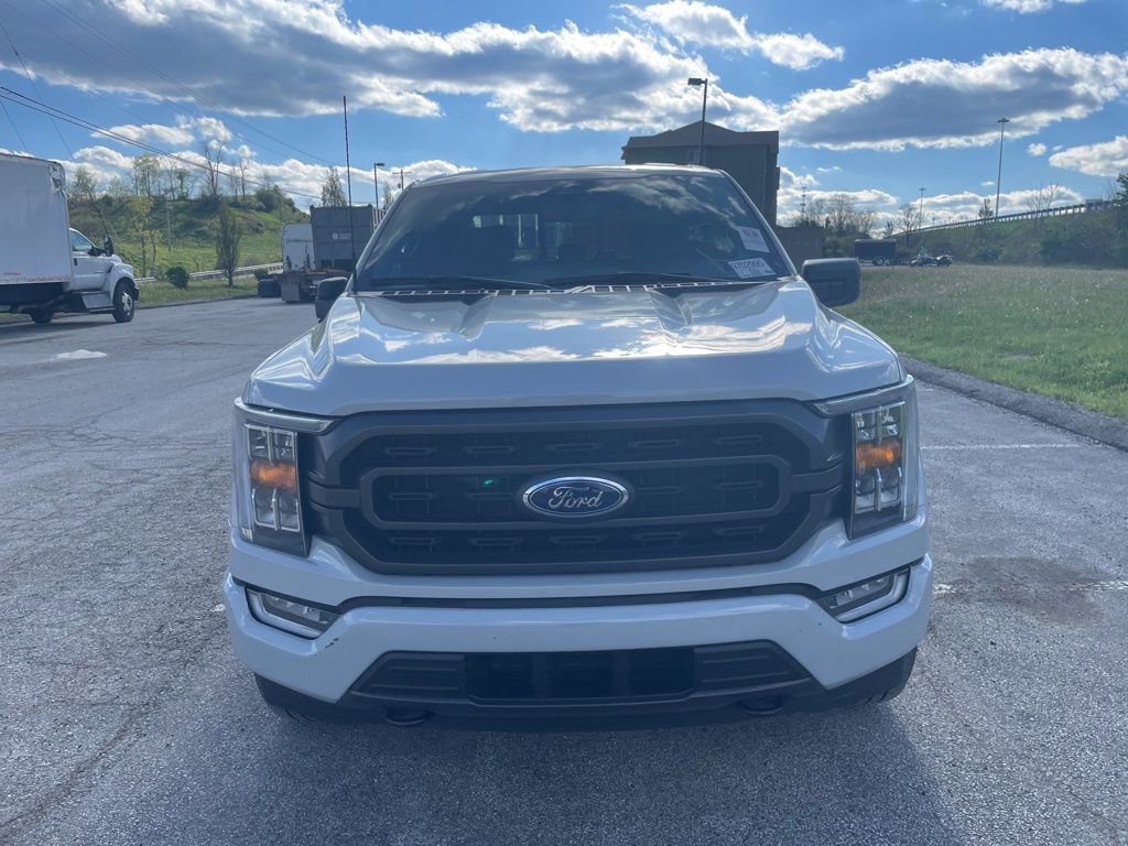 Used 2023 Ford F150 XLT w/ Equipment Group 302A High image 2