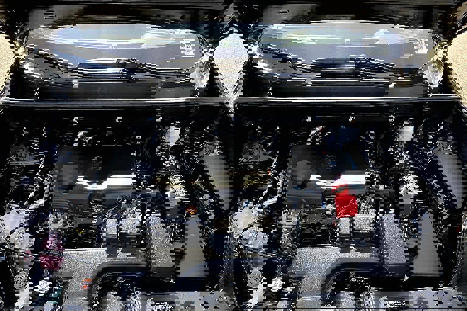 Certified 2024 Toyota RAV4 LE image 31