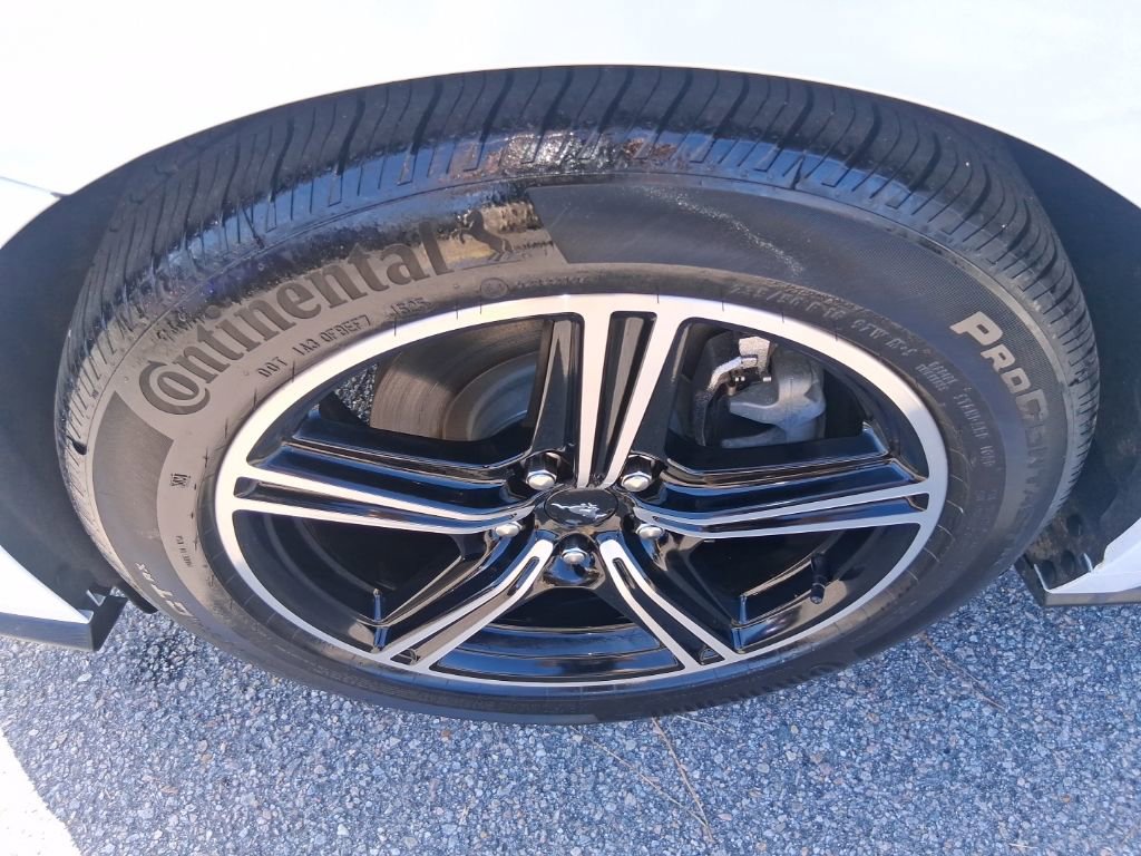 Used 2025 Ford Mustang EcoBoost image 7