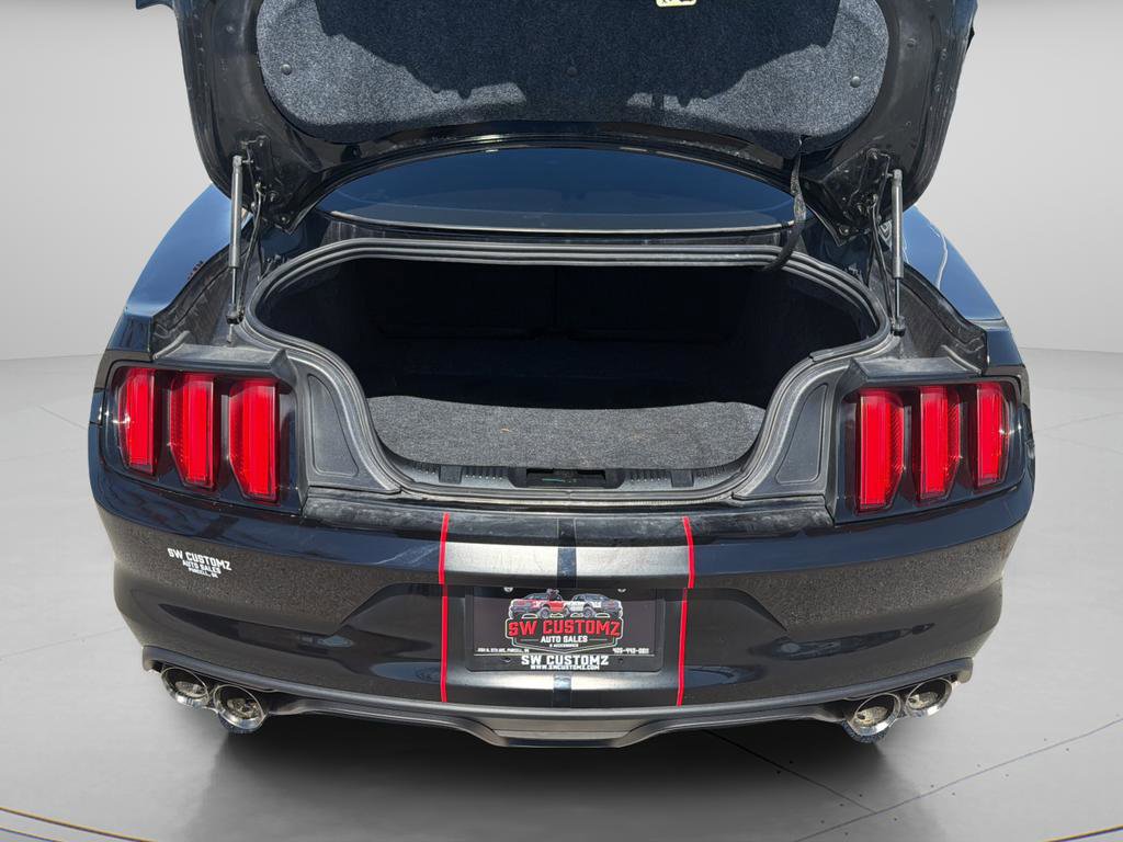 Used 2018 Ford Mustang Shelby GT350 w/ Electronics Package RWD image 14