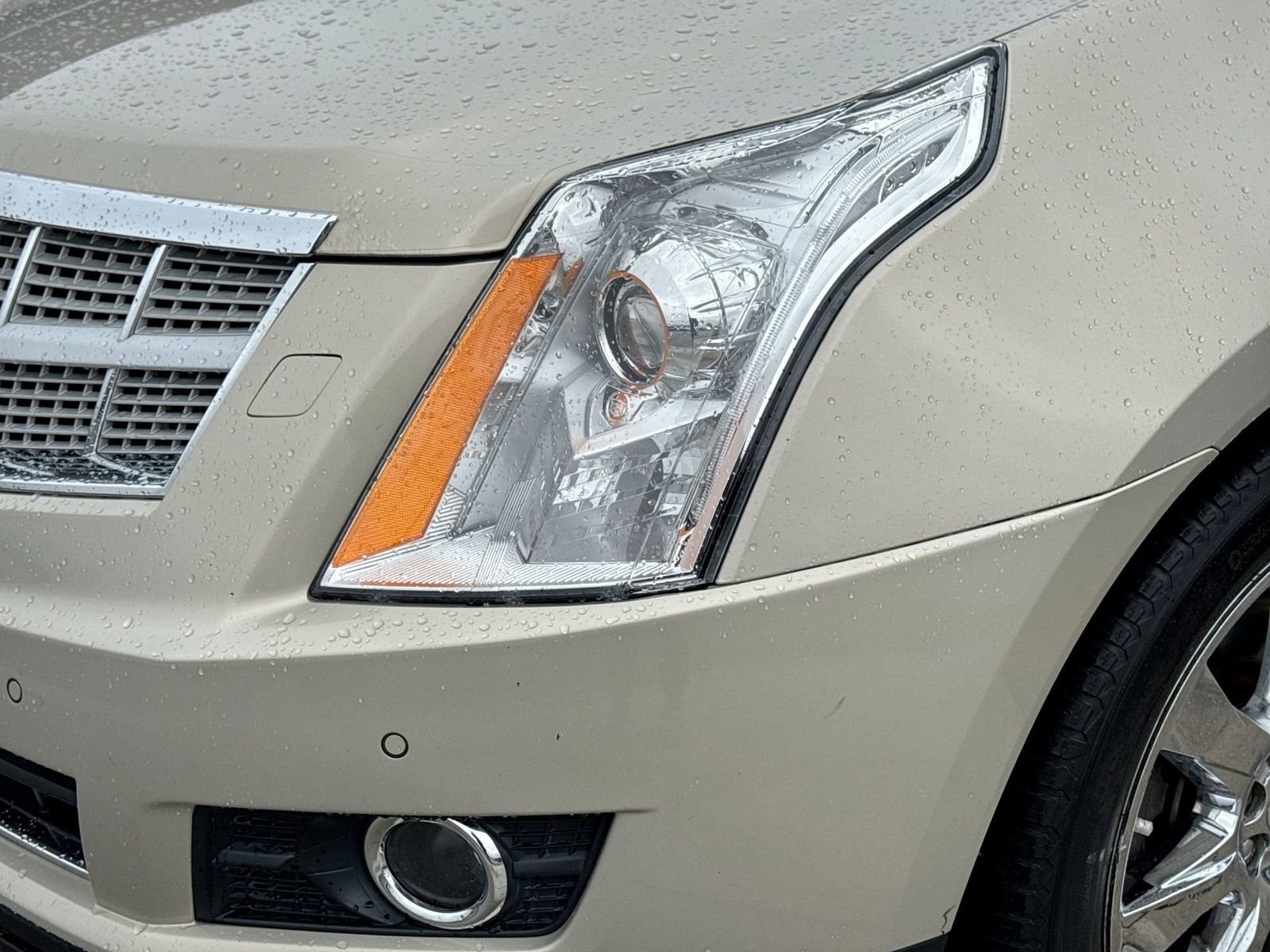 Used 2012 Cadillac SRX Premium w/ LPO, Protection Package image 9