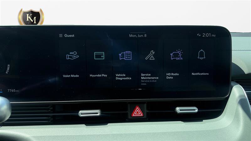 Used 2025 Hyundai Ioniq 5 Limited RWD image 25