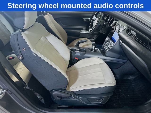 Certified 2023 Ford Mustang EcoBoost w/ Equipment Group 101A image 16