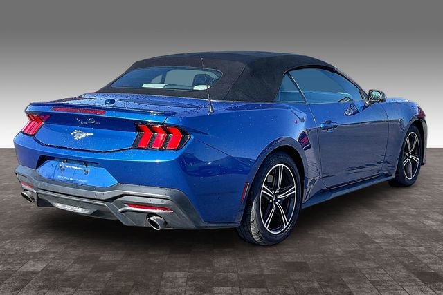 Used 2024 Ford Mustang Premium image 2