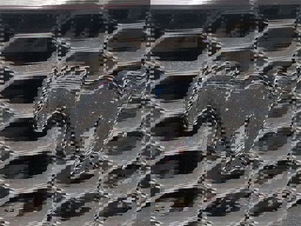 New 2026 Ford Mustang Coupe w/ Mustang Nite Pony Package image 12