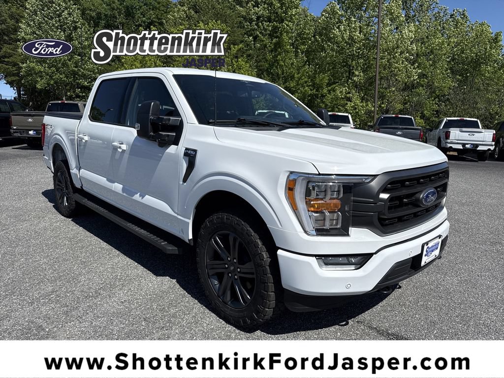 Used 2023 Ford F150 XLT w/ Equipment Group 302A High AWD/4WD image 1