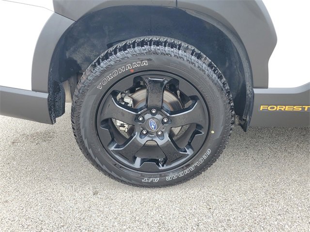 Used 2024 Subaru Forester Wilderness image 6