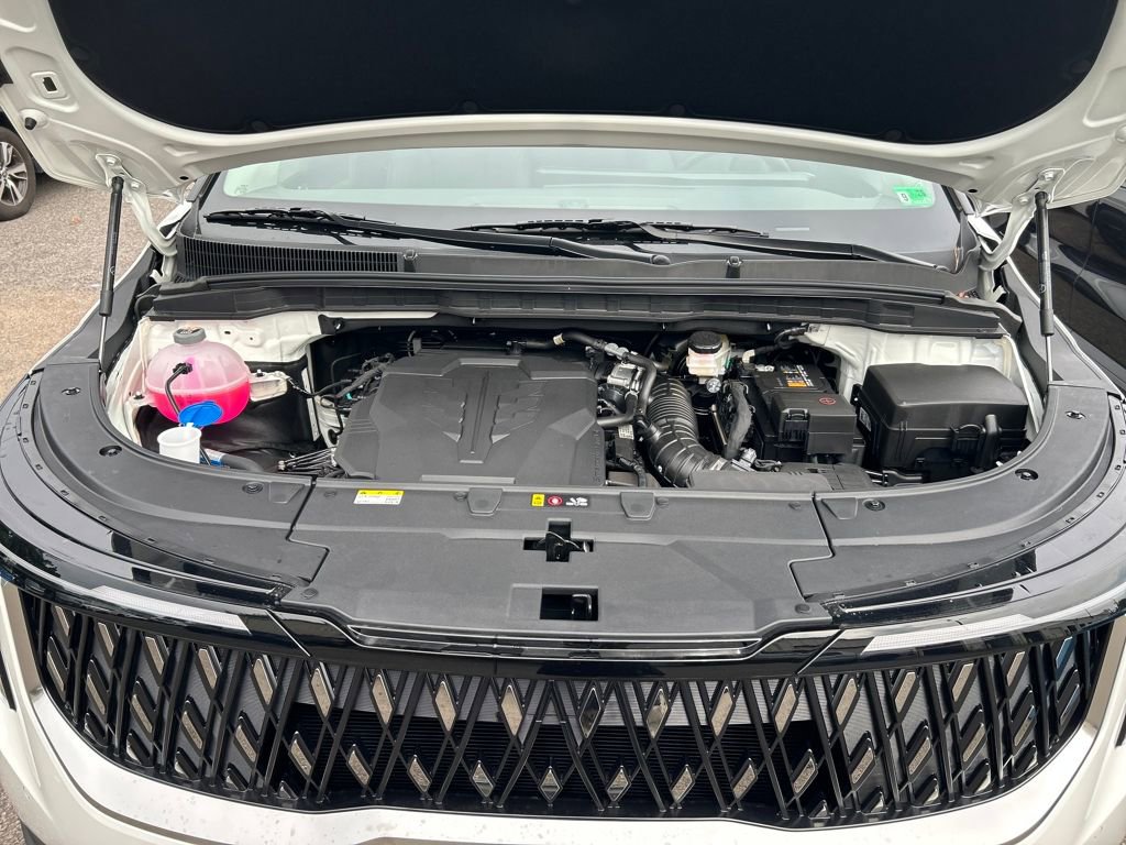 New 2026 Kia Carnival image 29