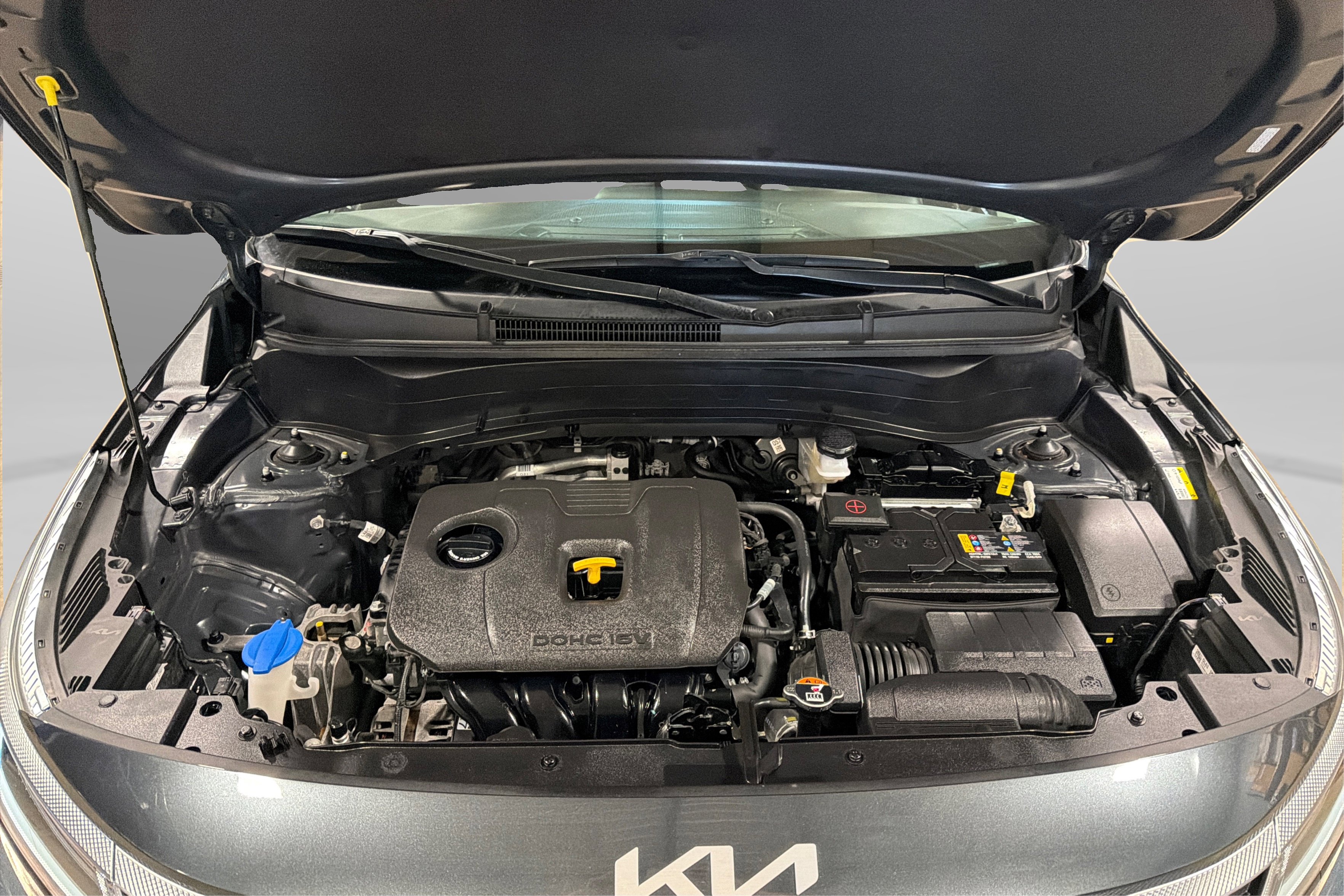 Used 2024 Kia Seltos EX AWD/4WD image 11