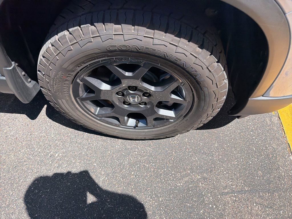 Certified 2025 Honda Pilot TrailSport image 5