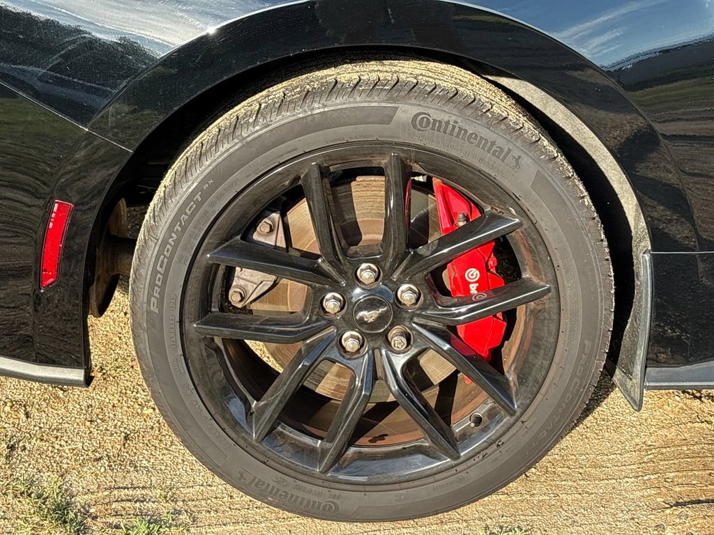 Used 2025 Ford Mustang GT Premium RWD image 19