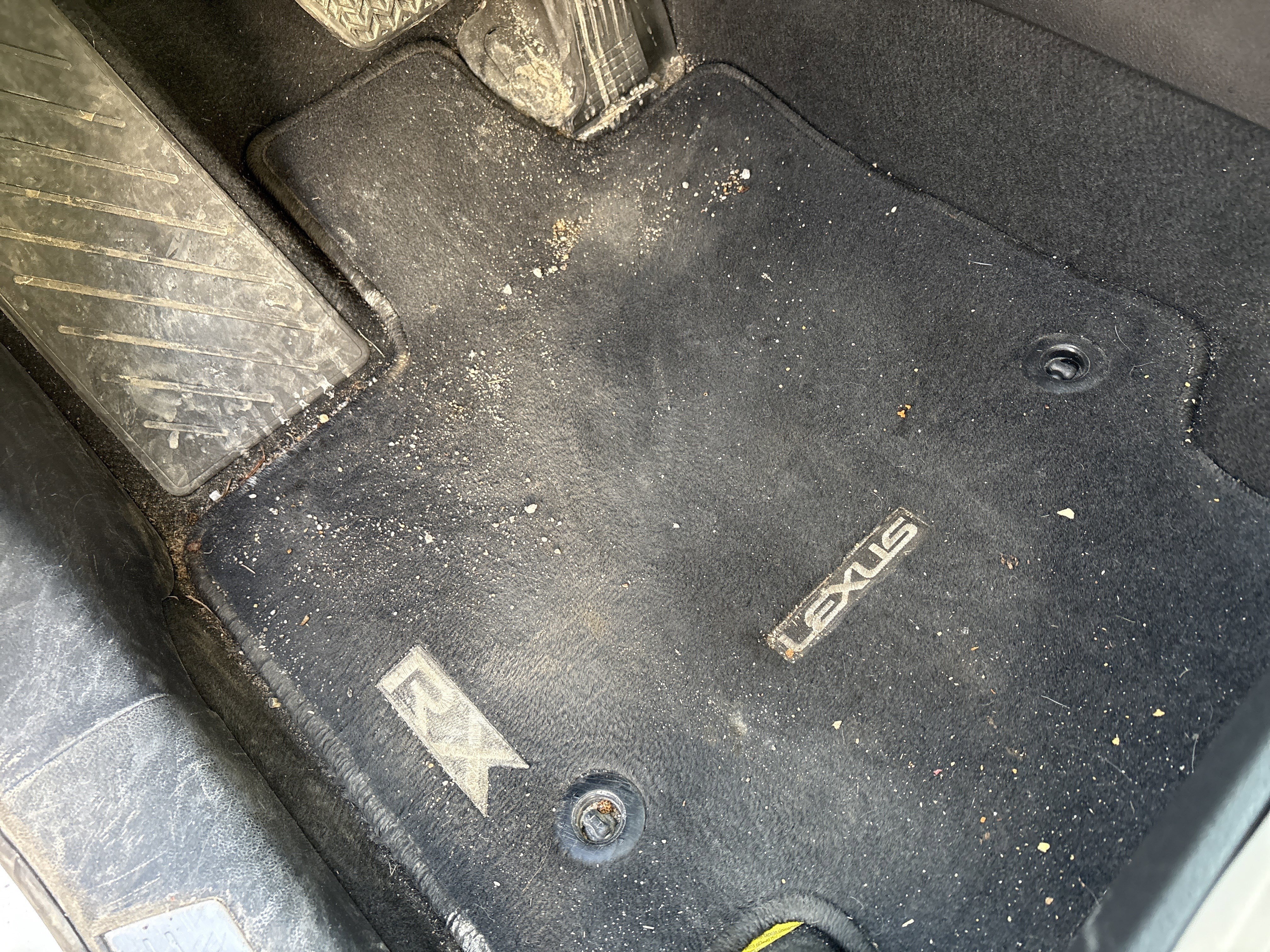 Used 2024 Lexus RX 350 Premium Plus image 17