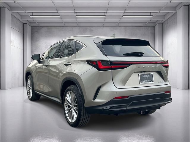 Used 2025 Lexus NX 350h AWD w/ Cold Area Package image 5