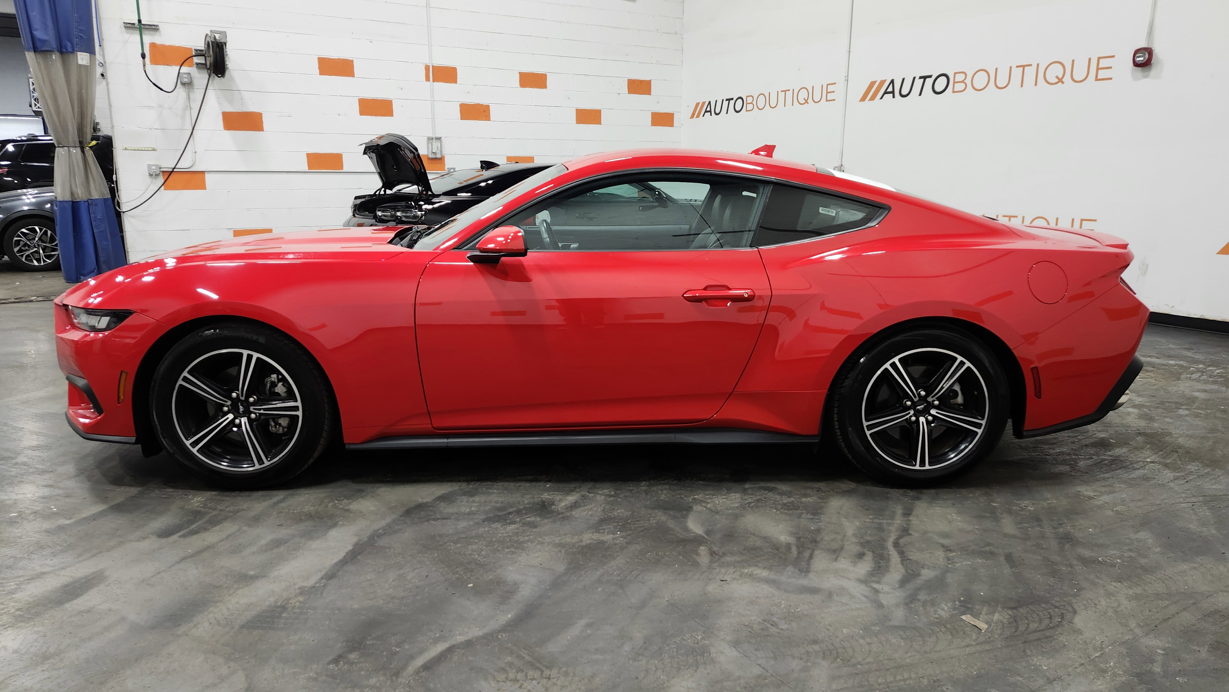 Used 2024 Ford Mustang Premium image 12