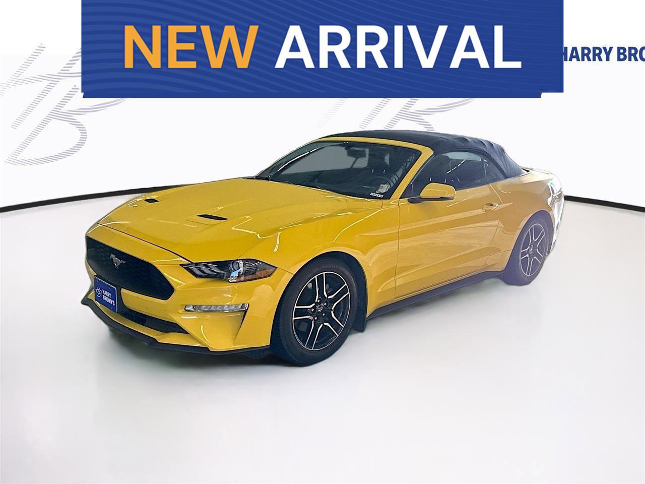 Used 2018 Ford Mustang Premium w/ Equipment Group 201A