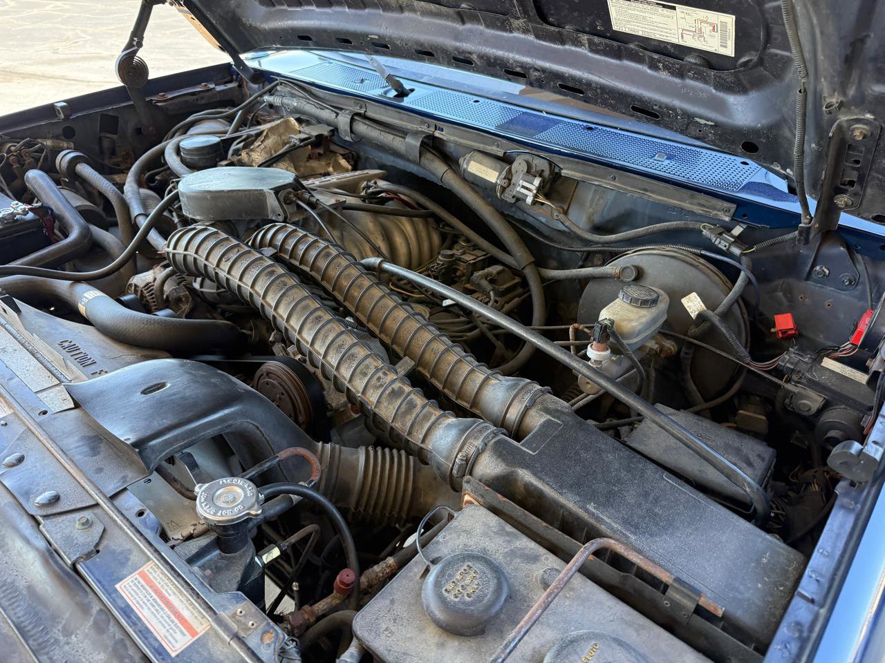 Used 1995 Ford Bronco Eddie Bauer image 22