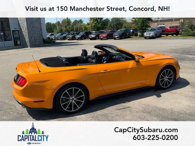 Used 2019 Ford Mustang Premium w/ Equipment Group 201A RWD image 11