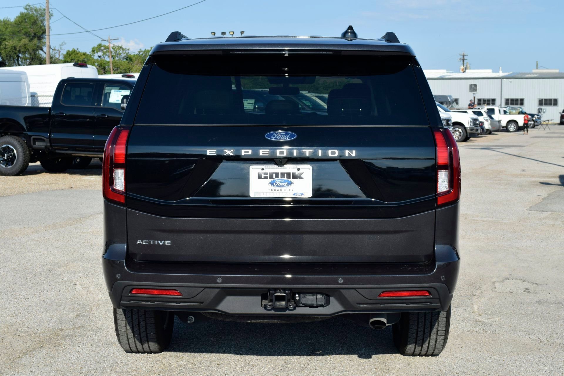 New 2025 Ford Expedition Active image 5