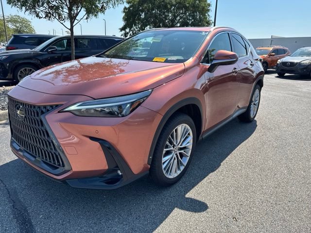 Used 2025 Lexus NX 350 AWD w/ Cold Area Package image 7