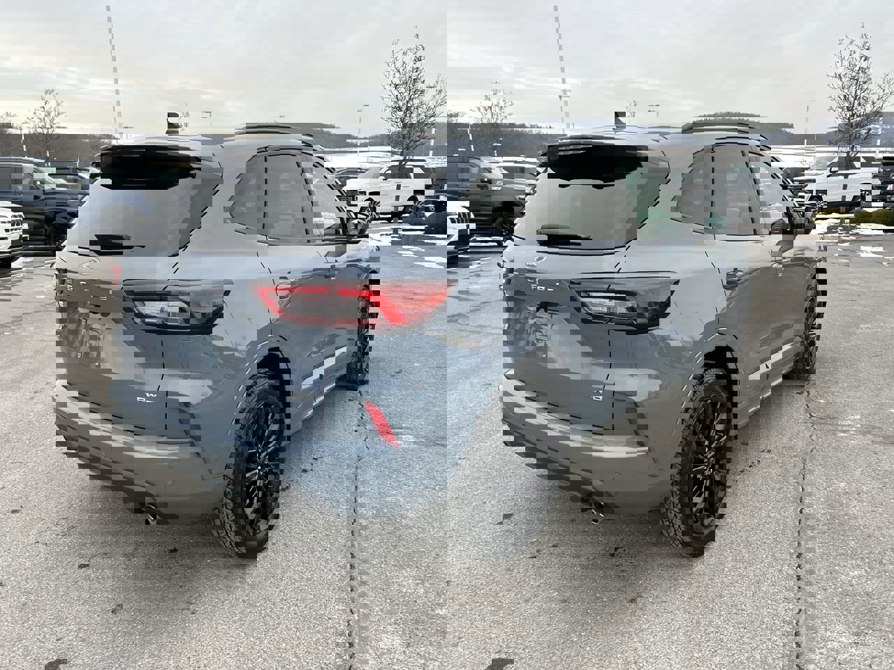 Used 2023 Ford Escape ST-Line Elite image 7