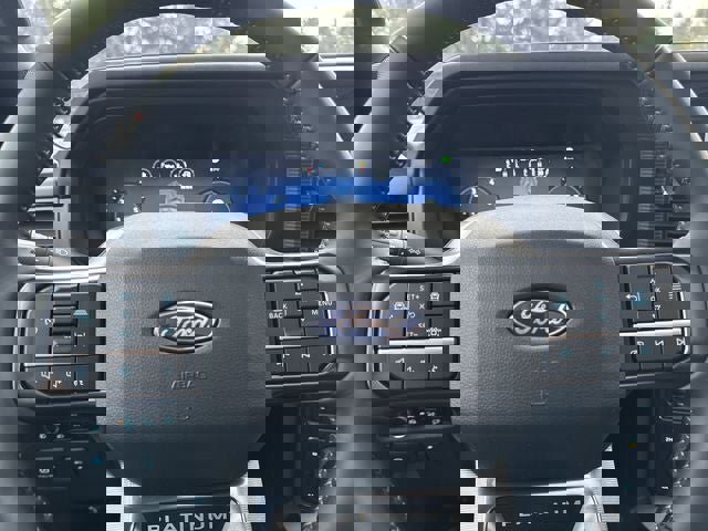 New 2025 Ford F150 Platinum w/ Equipment Group 702A High image 26