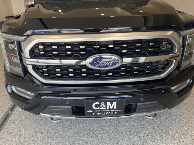 Used 2022 Ford F150 Platinum w/ Equipment Group 701A High image 2