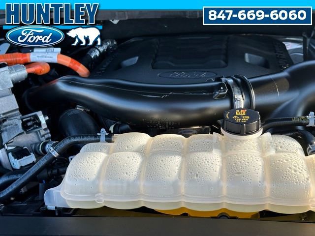 Used 2023 Ford F150 XLT w/ Equipment Group 302A High image 10