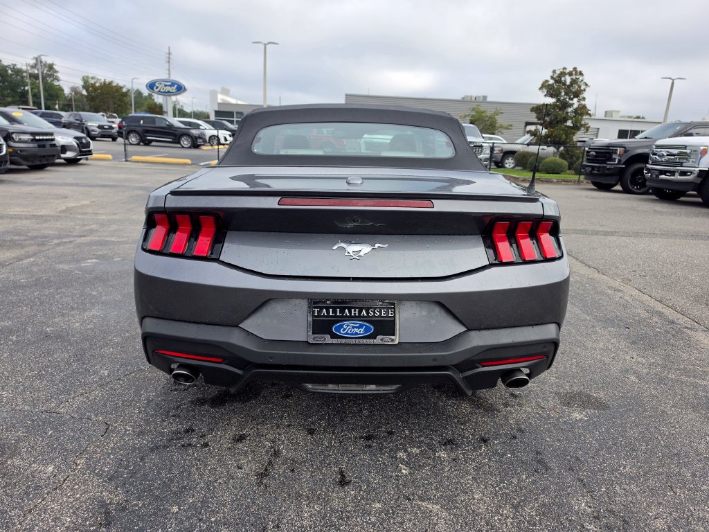 Used 2024 Ford Mustang Premium RWD image 9