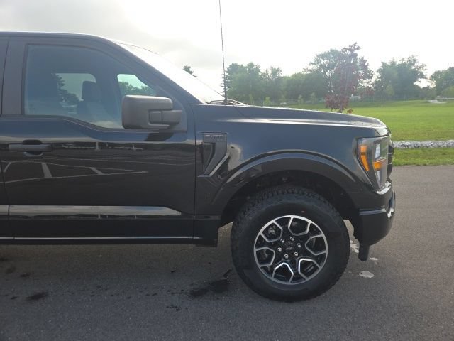Used 2023 Ford F150 XL w/ STX Appearance Package AWD/4WD image 4