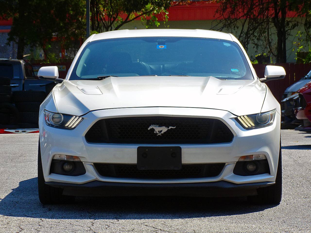 Used 2017 Ford Mustang GT Premium w/ Equipment Group 401A RWD image 8