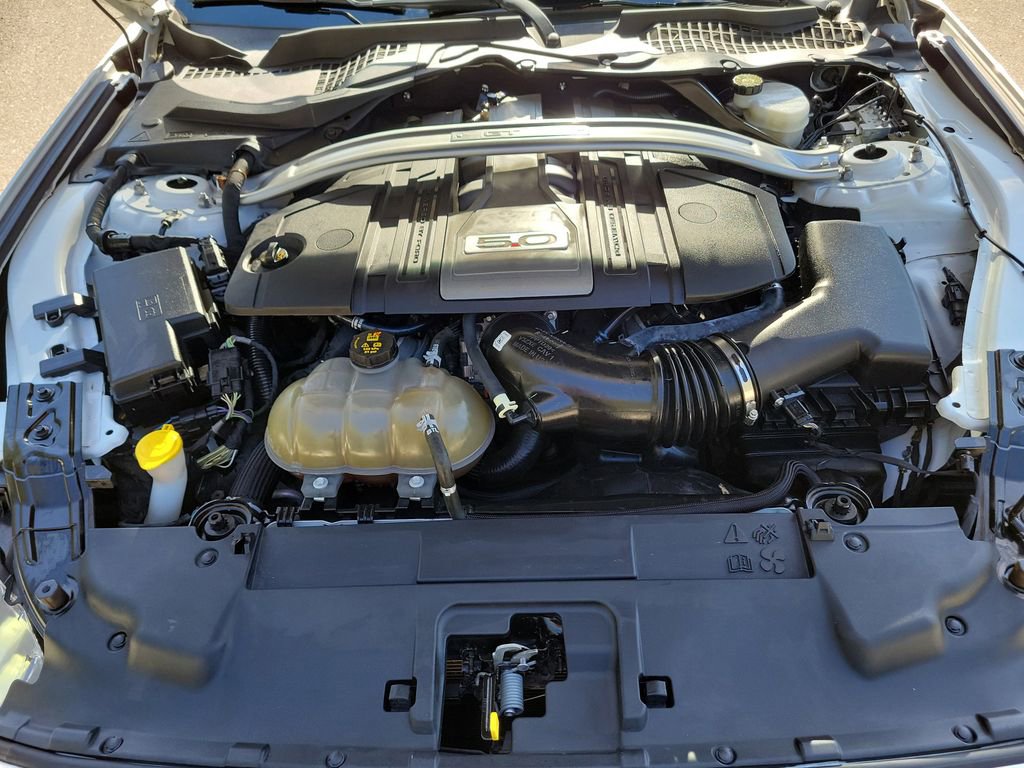 Used 2019 Ford Mustang GT Premium w/ Equipment Group 401A image 13