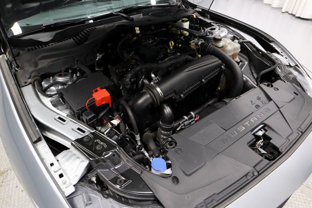 Certified 2024 Ford Mustang Premium RWD image 15