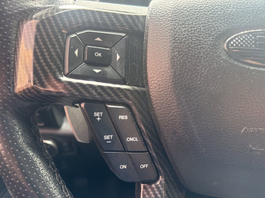 Used 2017 Ford F150 Raptor w/ Equipment Group 801A Mid image 19