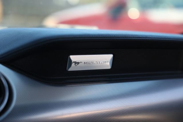 Used 2019 Ford Mustang GT image 47