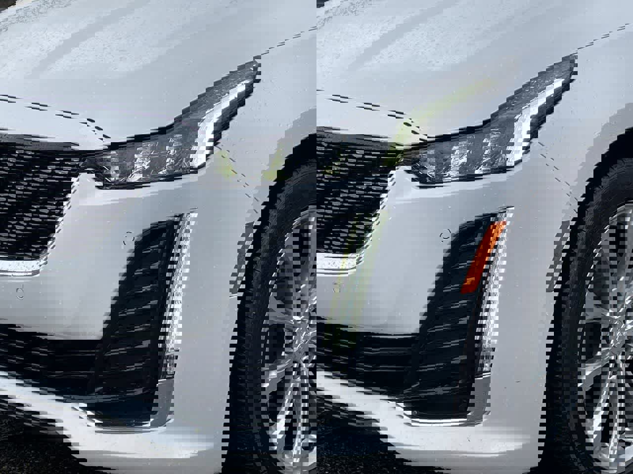 Used 2023 Cadillac CT5 Premium Luxury w/ Technology Package image 36