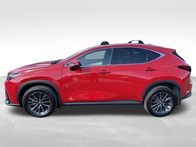 Used 2024 Lexus NX 350 AWD image 4