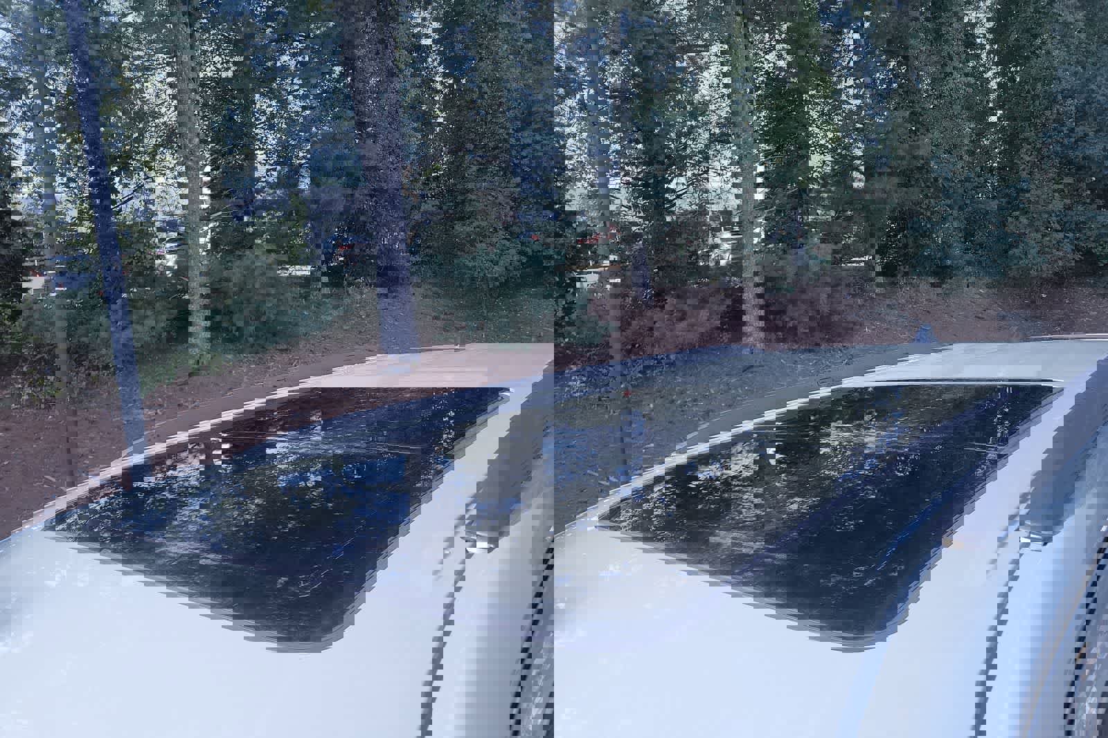 New 2026 Toyota Sequoia Limited image 12