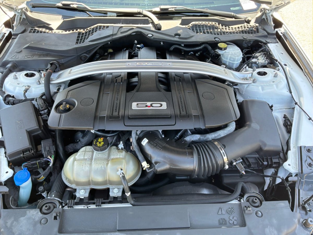Used 2023 Ford Mustang GT w/ Equipment Group 301A RWD image 21