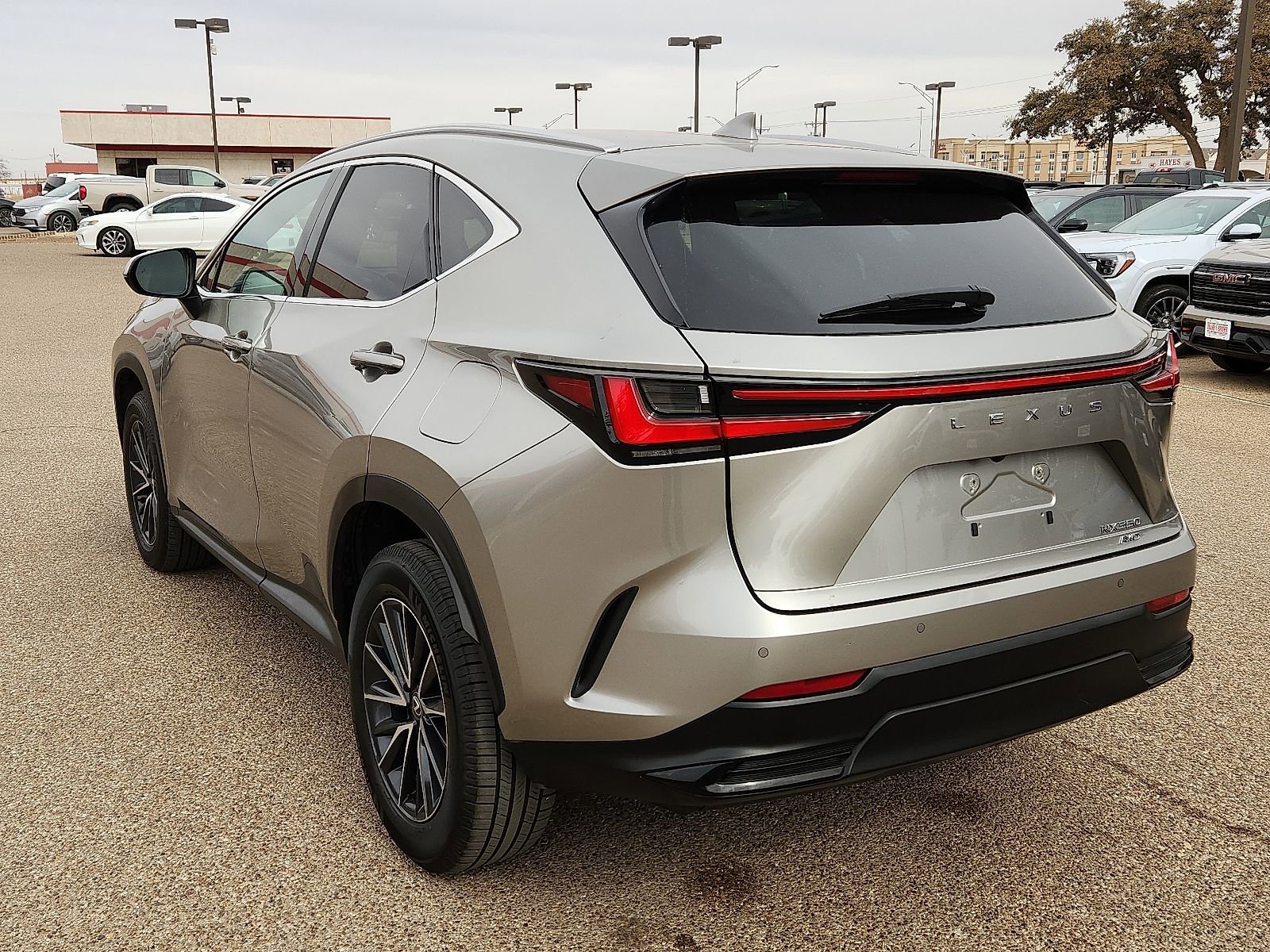 Used 2024 Lexus NX 350 350 Premium w/ Vision Package image 3