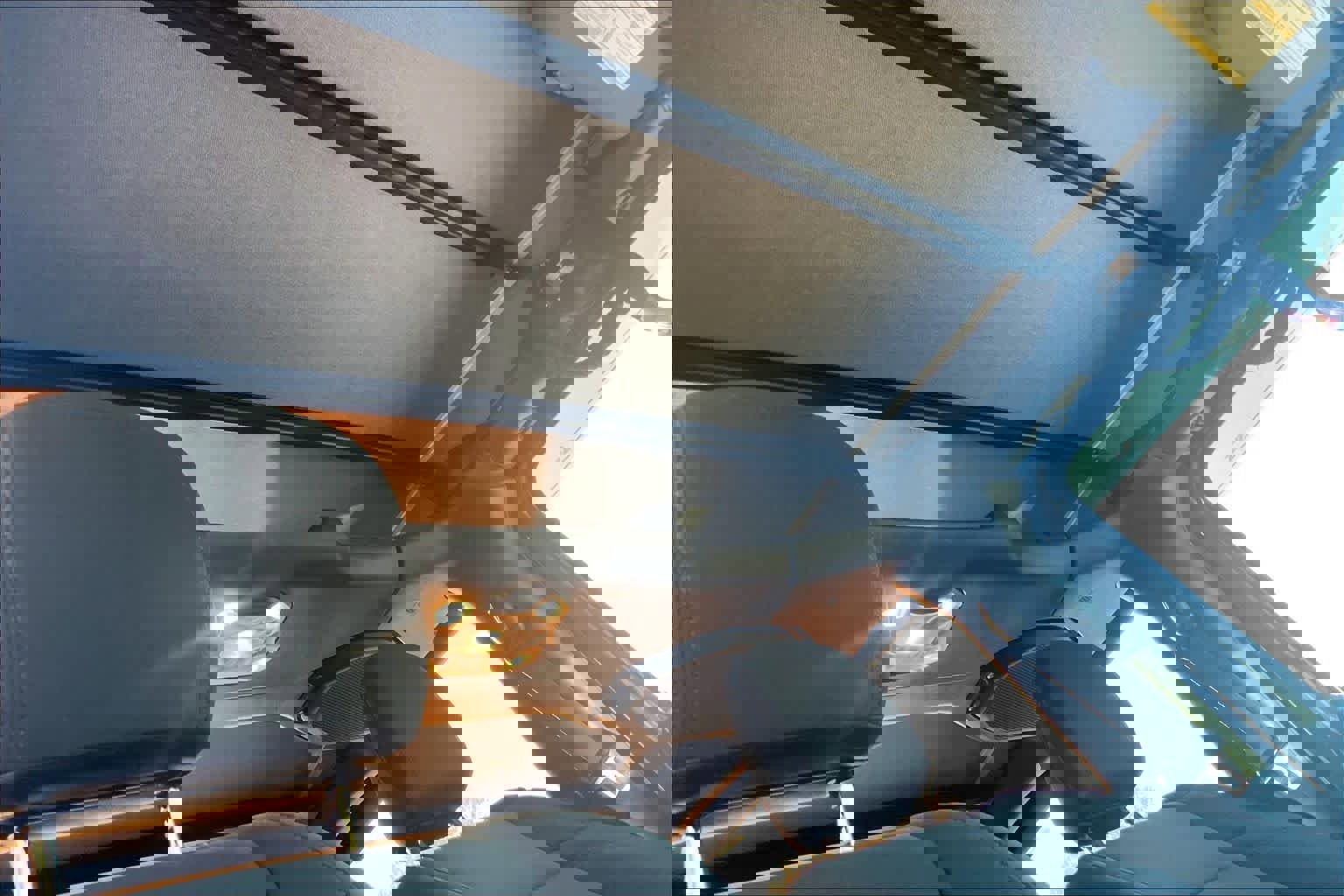 Used 2021 Jeep Wrangler Sport image 12