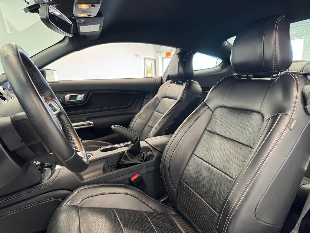 Used 2019 Ford Mustang GT Premium w/ Equipment Group 401A RWD image 15
