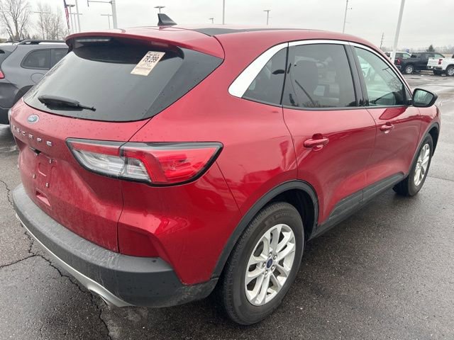 Used 2022 Ford Escape SE w/ Convenience Package image 5