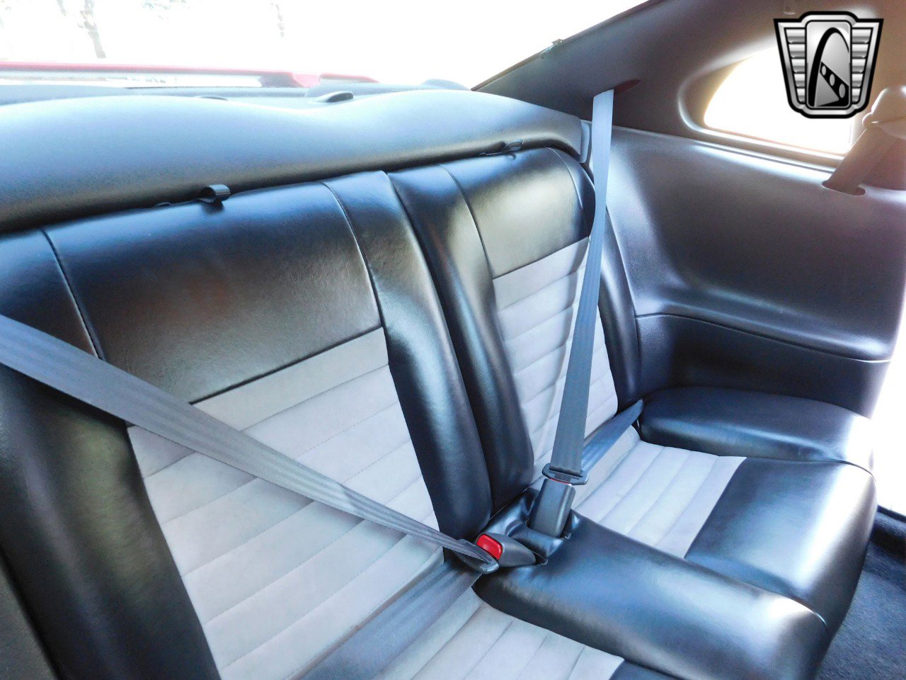 Used 2001 Ford Mustang Cobra image 13