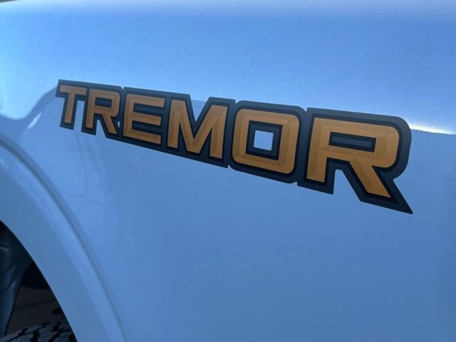 New 2025 Ford F150 Tremor image 19